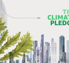 Climate Pledge, cos’è il piano di Amazon per l’ambiente