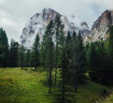 “Life Ursus” e il ritorno degli orsi in Trentino 