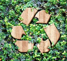 Giornata Mondiale dell’ambiente: come celebrare il Pianeta?