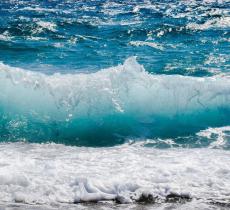 Inquinamento acustico degli oceani: il rapporto ONU