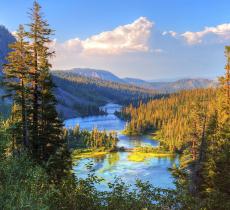 Le parole più usate nel 2022 legate a clima ed ambiente