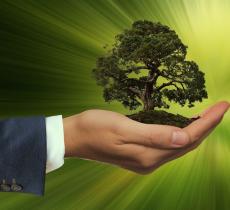Certificazioni di sostenibilità, tra greenwashing e Direttive UE