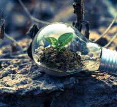 Sustainability words 2023: le parole che useremo di più legate alla sostenibilità 