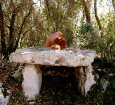 “Anthropos e Kainos” II, la performance corale per salvaguardare il pianeta