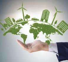 Come si diventa sustainability manager 