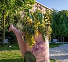 “Flora adora exhibition”: la mostra che celebra l’importanza degli impollinatori 
