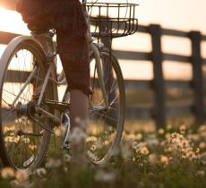 SA(L)VALA, 65 km in bici alla scoperta di cultura e sostenibilità