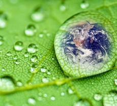Green Jobs, 8 italiani su 10 vorrebbero più sostenibilità nei programmi di formazione 