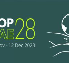COP28, le conclusioni e gli scenari futuri