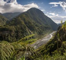 Rewilding. Riparare gli ecosistemi con un processo naturale