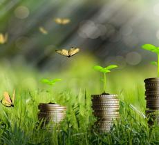 La Green economy accelera in Italia con 531mila imprese