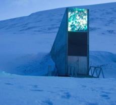 Svalbard Global Seed Vault: che cos’è la banca mondiale dei semi? 