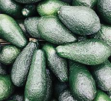 Come rendere la produzione di avocado più sostenibile