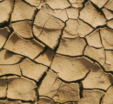 Idrogel: una nuova alternativa green per superare la siccità