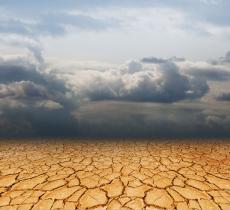 Cambiamento climatico e ondate di calore, come difendersi al meglio