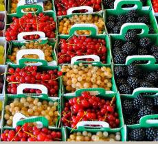 Spesa in estate: la frutta e la verdura di stagione
