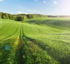 Le parole più usate nel 2024 legate a clima ed ambiente