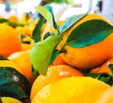 Frutta e verdura: cosa comprare in inverno