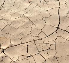 Siccità: definizione, cause, conseguenze e soluzioni