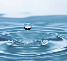 Tutto quello che devi sapere sulla Giornata Mondiale dell'Acqua