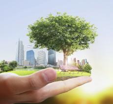 Tutto quello che c'è da sapere sui Crediti di Carbonio