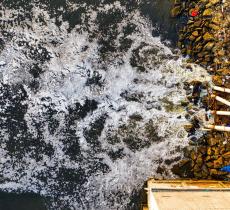 Acque reflue in agricoltura: una soluzione sostenibile per la siccità?