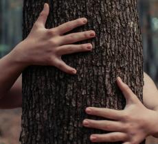 National Love a Tree Day: un abbraccio verde per il futuro del pianeta