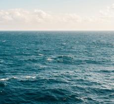 La Giornata Mondiale degli Oceani 2025 per tutelare gli ambienti marini