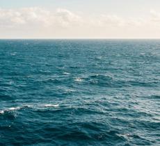 Confluenze marine: perché i mari a volte non si mischiano