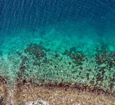 Perché l’acqua è trasparente: una questione di luce