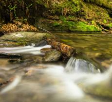 Acqua fossile: una risorsa non rinnovabile nascosta nelle profondità terrestri Acqua fossile: una risorsa non rinnovabile nascosta nelle profondità terrestri