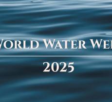 World Water Week: di cosa parla e dove si tiene l’edizione 2025