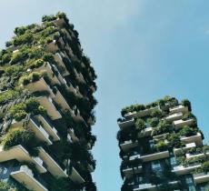 Architettura verde e acqua: progetti che integrano risparmio idrico e bellezza