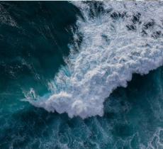 Un’ondata di consapevolezza: perché il 5 novembre il mondo parla di tsunami