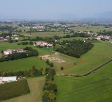 La Giornata Mondiale degli Alberi, un giorno per celebrare i polmoni verdi del pianeta