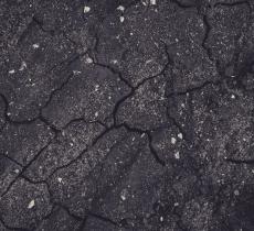 Giornata Mondiale del Suolo: perché il 5 dicembre ci ricorda ciò che non vediamo