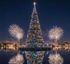 Gli alberi di Natale sulll’acqua più spettacolari al mondo