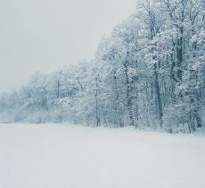 Dove nasce la neve: il viaggio invisibile di una goccia d’acqua