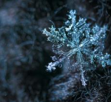 Perché ogni fiocco di neve è diverso: la scienza delle forme