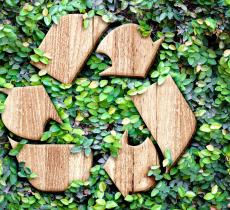 Sostenibilità in Italia: a che punto siamo? Ce lo svela il Rapporto ASviS