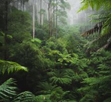 Zone umide: i luoghi d’acqua che lavorano in silenzio