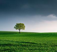 L’importanza della logistica verso la transizione ecologica