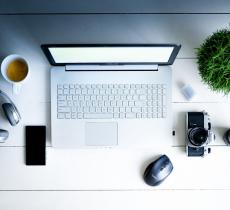 Green work culture, la sostenibilità a lavoro fa rendere meglio 