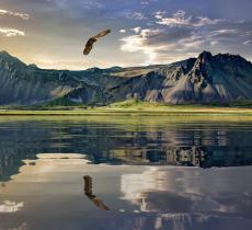 “Acqua alpina”, la poesia che celebra la vitalità della montagna