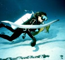 Sylvia Earle e la tutela della biodiversità marina
