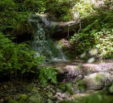 Creare un impatto idrico positivo rigenerando i cicli idrologici locali, l’impegno di Nestlé Waters