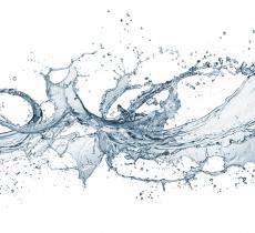 L’acqua la insegna la sete: la poesia di Emily Dickinson  - In a Bottle
