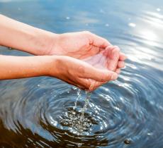 Ecco tutti i valori dell’acqua per imparare a tutelarla