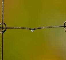 “Acqua dolce, acqua salata”, le premiazioni si svolgeranno il 1° maggio a Comacchio_alt tag