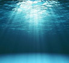 Le acque degli oceani sono sempre più calde: raggiunte temperature “record” - In a Bottle